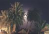 Palme di notte con luna - Tunisia 2004